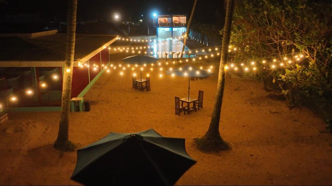Turtle Conservation Experience at Bedazzle Waves